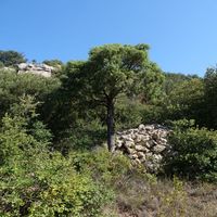 Photo de france - La randonnée du moulin de Ribaute